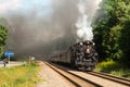 People railfanning the passing of the Nickel Plate Road 765 Royalty Free Stock Photo