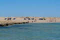 People in Ras Mohammad national park in Sinai, Egypt