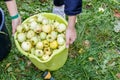 People read apples