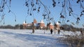 People recreate Trakai castle snow frozen lake tree twigs