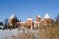 People recreate Trakai fort snow frozen lake reeds Royalty Free Stock Photo