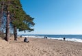 People relax on the beach of The Gulf of Finland in Komarovo near St Petersburg. Russia Royalty Free Stock Photo