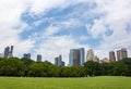 People relaxing at the Central Park with the New York skyline in the background, in the city of New York Royalty Free Stock Photo