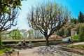 People relaxing at garden Franciscan monastery Royalty Free Stock Photo