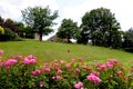 People relaxing at Calverlery Grounds in Royal Tunbridge Wells