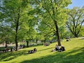 People rest on the green grass of the Bastion hill city park on a warm spring day in Riga