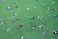 People resting on the lawn