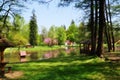 People are resting in a park by the pond. Spring juicy greens. Trees in pink Royalty Free Stock Photo