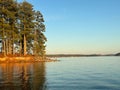 People resting under the tall trees on the edge of a calm lake under the blue sky Royalty Free Stock Photo