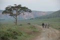 Cyclists ride bikes through Hell's Gate National Park in Kenya Royalty Free Stock Photo