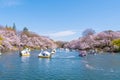 People ride duck boat at Chidorigafuchi park in spring and cherry blossom tree in full boom
