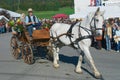 People ride traditional horse carriage at the annual Cheese Festival in Affoltern Im Emmental, Switzerland.