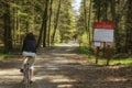 People riding bikes on a forest trail