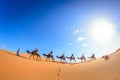 People riding camel in the Sahara desert, Morocco Royalty Free Stock Photo