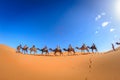 People riding camel in the Sahara desert, Morocco Royalty Free Stock Photo