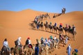 People riding camel in the Sahara desert, Morocco Royalty Free Stock Photo