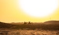 Camels riding in Lehbab desert on sunset Dubai  UAE Royalty Free Stock Photo