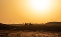 Camels riding in Lehbab desert on sunset Dubai  UAE Royalty Free Stock Photo