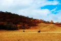 People riding horses Royalty Free Stock Photo