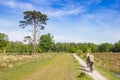 People riding their bicycles in the heather fields of Drenthe Royalty Free Stock Photo