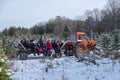 People riding in tractor trailer with cut fir, spruce and pine trees at a Christmas tree farm market.