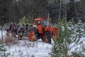 People riding in tractor trailer with cut fir, spruce and pine trees at a Christmas tree farm market. Royalty Free Stock Photo