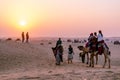 People roaming around with camels on the soft sands of Thar