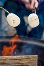 People roasting large marshmallows on a stick over the campfire firepit. Camping family fun Royalty Free Stock Photo