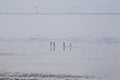 People running on beach wind farm in distance