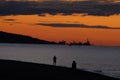 people running, searching with metal detector and walking a dog, on the beach Royalty Free Stock Photo