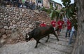 Bull run celebration in Mallorca, Spain.