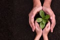 People`s hands cupping protectively around young plant