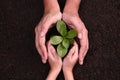 People`s hands cupping protectively around young plant Royalty Free Stock Photo
