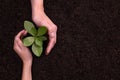 People`s hands cupping protectively around young plant