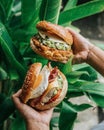 People\'s hands are holding two burger bagels filled with eggs, vegetables, chicken, sauce, and cheese, behind are plants Royalty Free Stock Photo