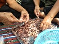 People's hands using knives to peel cashew nuts.Thai food