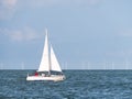 Sailboat sailing on lake IJsselmeer and windturbines of windfarm Urk, Netherlands