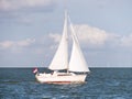 Sailboat sailing on lake IJsselmeer and windturbines of windfarm Urk, Netherlands