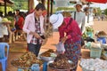 People sale fried bugs, spiders, crickets Royalty Free Stock Photo