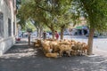 People sale sheeps during Bakrid festival Eid al-Adha. Baku