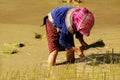 People of Sapa in Vietnam Royalty Free Stock Photo