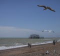 People, seagulls, blue skies and the old pier.