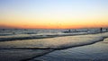 People and Seagulls Frolick in the Waves at Sunset