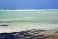 people and seaweed in zanzibar africa