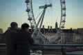 People seeing of london eye