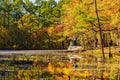 People seeing the nature autumn fall color of Robbers Cave State Park