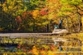 People seeing the nature autumn fall color of Robbers Cave State Park