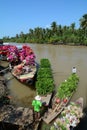 People sell flowers at the floating market in Mekong Delta, southern Vietnam Royalty Free Stock Photo