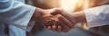 People shaking hands closeup, handshake between doctor and patient, blur room interior background