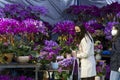 People shop for flowers at the Victoria Park Flower Market in preparation for the Chinese New Year, the Year of the Rabbit